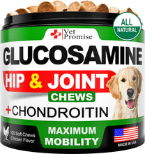 Load image into Gallery viewer, Vet Promise Glucosamine Chondroitin Hip and Joint Supplement for Dogs 120 Chews For Pet With Love