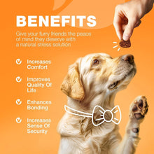 Load image into Gallery viewer, CHEWIA Dog Allergy Itch Relief Chews for Dogs. US Formulated Immune Health Seasonal Allergies & Hot Spots Support Treats with Salmon Oil (70 Chews. Duck Flavor) For Pet With Love