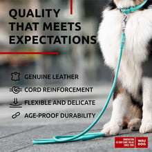 Load image into Gallery viewer, WAUDOG Rolled Leather GLAMOUR Dog Leash 4Ft X 0.5in (Mint) For Pet With Love