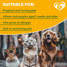 Load image into Gallery viewer, Beloved Pets Natural Flea and Tick Home Spray for Dogs, Cats & Ferrets. Pest Control & House Flea Treatment. Organic Mosquito Bug Repellent & Carpet Flea Killer. 8.5 Oz.