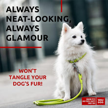 Load image into Gallery viewer, WAUDOG Rolled Leather GLAMOUR Dog Leash 4Ft * 0.3in (Green) For Pet With Love