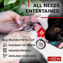 Load image into Gallery viewer, Recycled Cotton Dog Leash 6 Ft 10 Ft Eco Friendly Collar for Small Medium & For Pet With Love