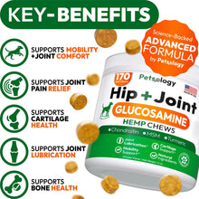 Load image into Gallery viewer, PETSOLOGY Hemp Hip and Joint Mobility Support Supplement for Dogs 170 Chews For Pet With Love