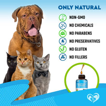 Load image into Gallery viewer, Beloved Pets Kennel Cough Treatment & Natural Infection Respiratory & Cough Relief for Dogs & Cats 2oz For Pet With Love