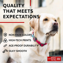 Load image into Gallery viewer, WAUDOG Nylon Adjustable Dog Collar with Durable Plastic Buckle and QR Dog Tag. WATERMELON. XL For Pet With Love