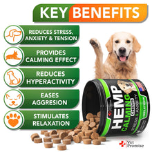 Load image into Gallery viewer, Vet Promise Hemp Oil Anxiety Relief Calming Chews for Dogs 120 Treats For Pet With Love