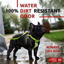 Load image into Gallery viewer, Waterproof Dog Harness Adjustable Dog Harness for Large Dogs Small and Medium For Pet With Love