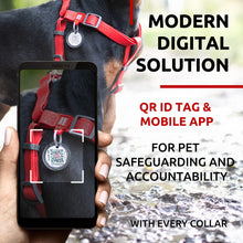 Load image into Gallery viewer, Waterproof Dog Harness Adjustable Dog Harness for Large Dogs Small and Medium For Pet With Love