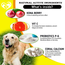 Load image into Gallery viewer, Beloved Pets Dog Immune Supplement Anti Itch & Allergy Relief with Probiotic 140 Ct