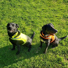 Load image into Gallery viewer, SafetyPUP XD Reflective HiVis Blaze Orange Fluorescent Dog Safety Vest (MEDIUM)