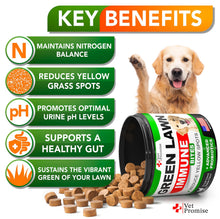 Load image into Gallery viewer, Vet Promise Dog Urine Neutralizer for Lawn with Probiotics Digestive Enzymes 120 Chews For Pet With Love