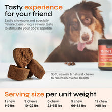 Load image into Gallery viewer, VETRICA 15in1 Dog Multivitamin Chews for Hip & Joint, Immune System, Coat & Mobility 130 Chews For Pet With Love