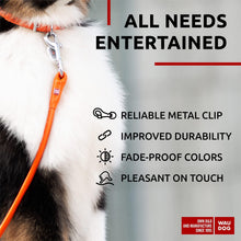 Load image into Gallery viewer, WAUDOG Rolled Leather GLAMOUR Dog Leash 4Ft * 0.5in for Small Medium and Large Dogs (Orange) For Pet With Love