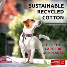 Load image into Gallery viewer, Recycled Cotton Dog Leash 6 Ft 10 Ft Eco Friendly Collar for Small Medium & For Pet With Love