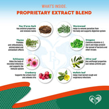 Load image into Gallery viewer, Beloved Pets Herbal Kennel Cough Relief & Urinary Tract Support for Cats and Dogs 2oz