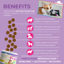Load image into Gallery viewer, Makondo Pets Dog Prenatal Multivitamin Chews with Folic Acid, Zinc, Vitamin B Complex, DHA & EPA Omegas and Probiotics Supplement for Pregnant, Nursing, Breastfeeding Pet. Mom & Puppy Vitamin Formula. 120 Chews. Chicken Flavor