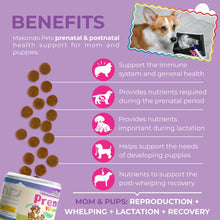 Load image into Gallery viewer, Makondo Pets Dog Prenatal Multivitamin Chews with Folic Acid, Zinc, Vitamin B Complex, DHA & EPA Omegas and Probiotics Supplement for Pregnant, Nursing, Breastfeeding Pet. Mom & Puppy Vitamin Formula. 120 Chews. Chicken Flavor For Pet With Love