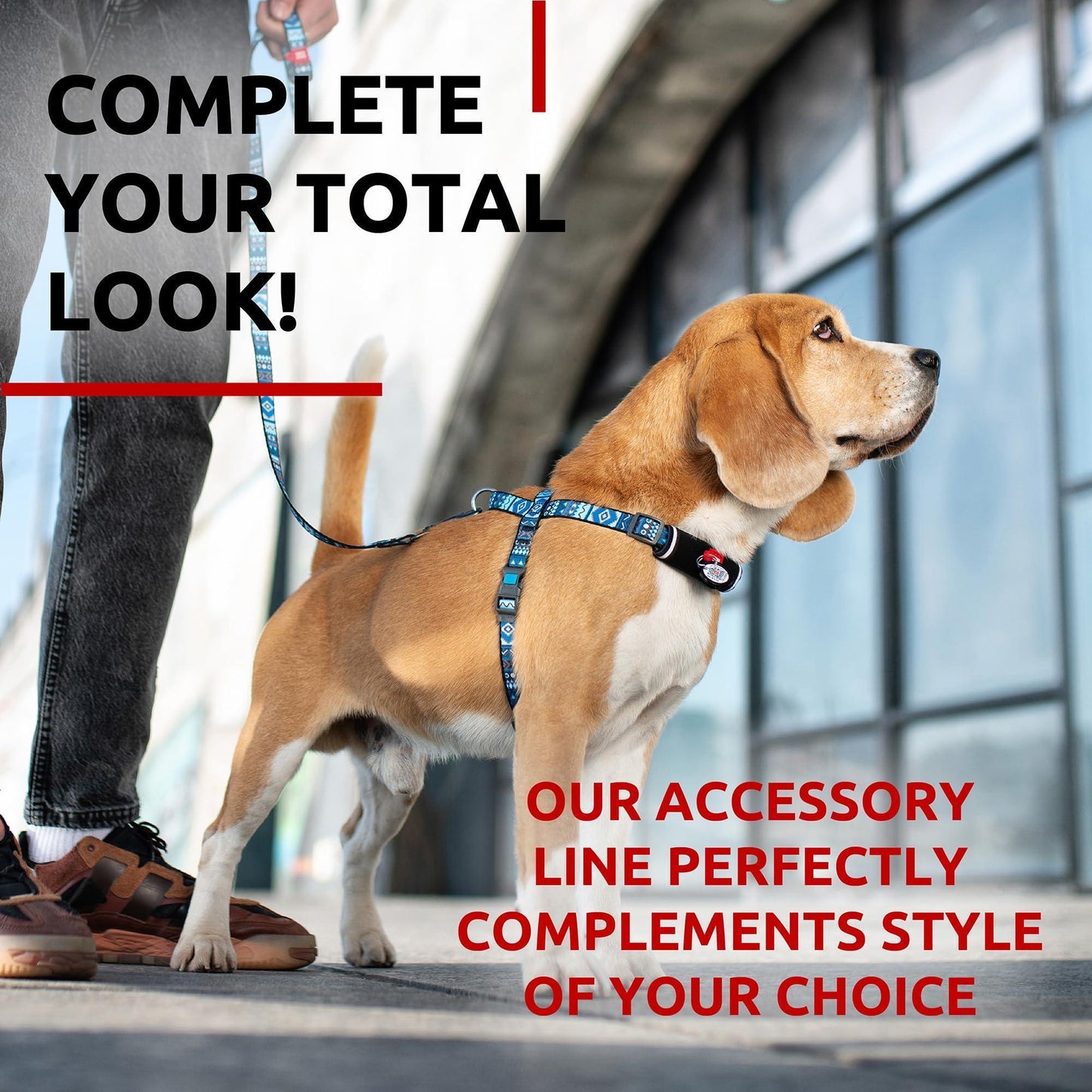 WAUDOG Nylon Dog Leash for Small Dogs and Medium Dogs 4 Ft Strong Dog Leash For Pet With Love