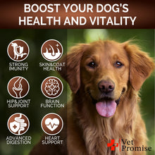 Load image into Gallery viewer, Vet Promise Mushroom Multivitamin Supplement for Dogs for Dogs. Turkey Tail Mushroom, Lions Mane, Reishi Immunity Support, Joint Health, Energy, Gut, Skin Health Support. (2 Pack. 340 Chews) For Pet With Love