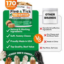 Load image into Gallery viewer, PETSOLOGY Natural Flea and Tick Prevention Treatment for Dogs Vet Formulated Oral Defense Supplement for All Breeds & Ages 170 Soft Chews Made in USA For Pet With Love