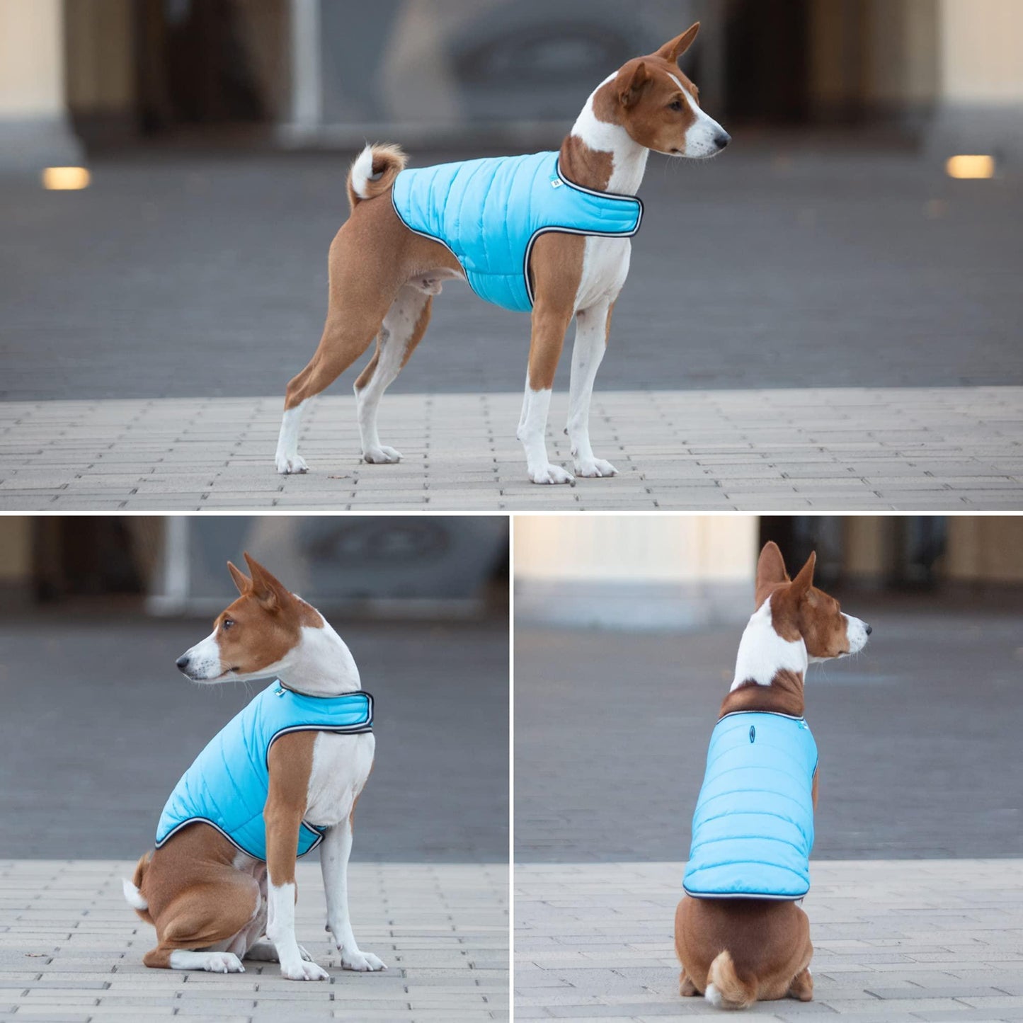AiryVest Waterproof Dog Warm Puffer Jacket for Cold Weather XS Blue For Pet With Love