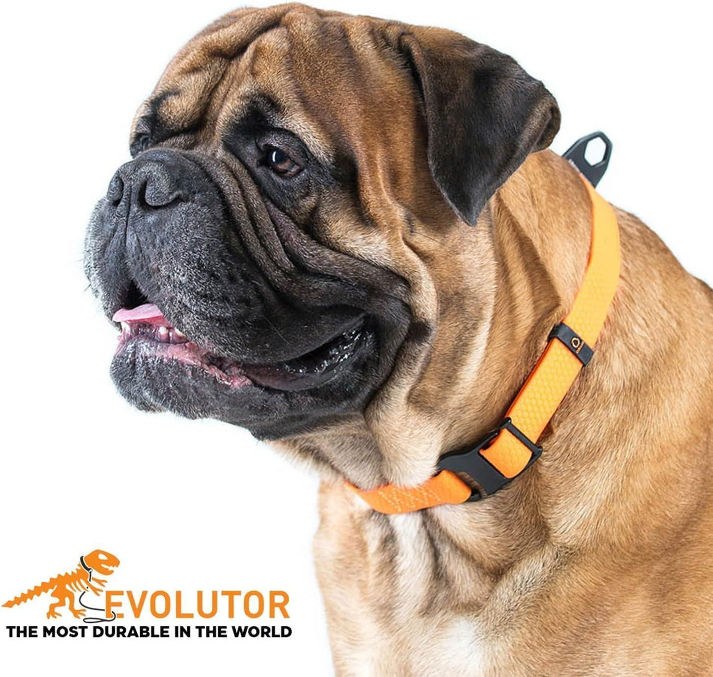 COLLAR Adjustable Heavy Duty Waterproof EVOLUTOR Dog Collar with QR Dog Tag (Orange) One Size Fits Many For Pet With Love