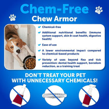 Load image into Gallery viewer, Artullano Natural Flea and Tick Supplement for Dogs. Flea and Tick Prevention Chewables with Vitamins B1, B6, B12. Made in USA. (240 Chews. 2 Pack) For Pet With Love