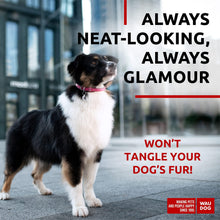 Load image into Gallery viewer, WAUDOG Ultra Soft Rolled Leather Dog Collar for Small Dogs Soft Padded Dog