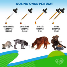 Load image into Gallery viewer, Beloved Pets Hemp Oil Calming Anti Anxiety & Herbal Stress Relief for Cats & Dogs 2oz