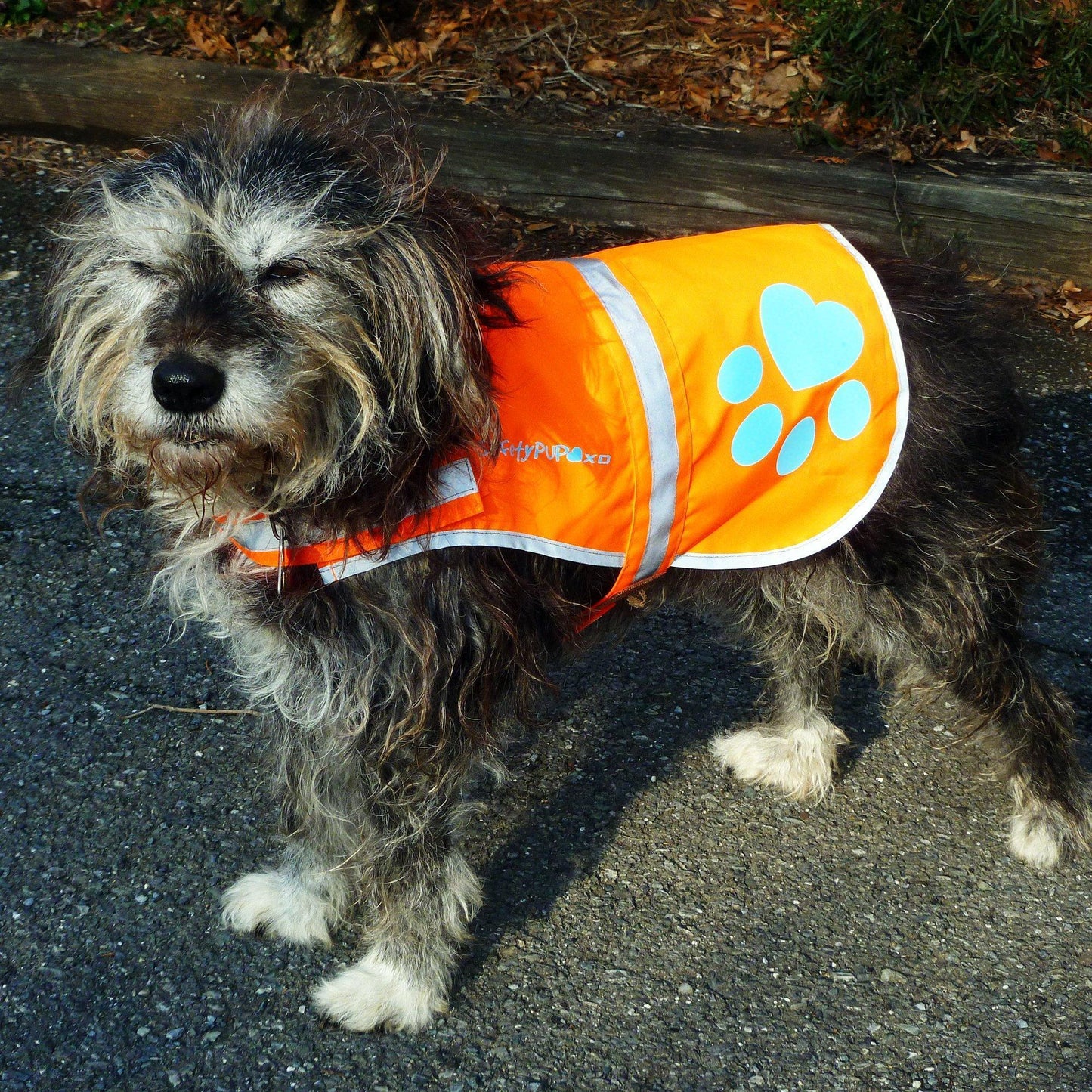 SafetyPUP XD Hi-Visibility Reflective Fluorescent Blaze Orange Dog Vest (Small) For Pet With Love