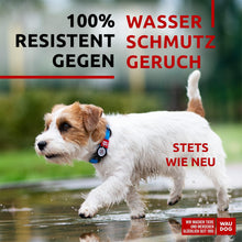 Load image into Gallery viewer, WAUDOG Adjustable Waterproof Heavy Duty Dog Collar with Durable Metal Clasp and QR Dog Tag. SMALL (Blue) For Pet With Love