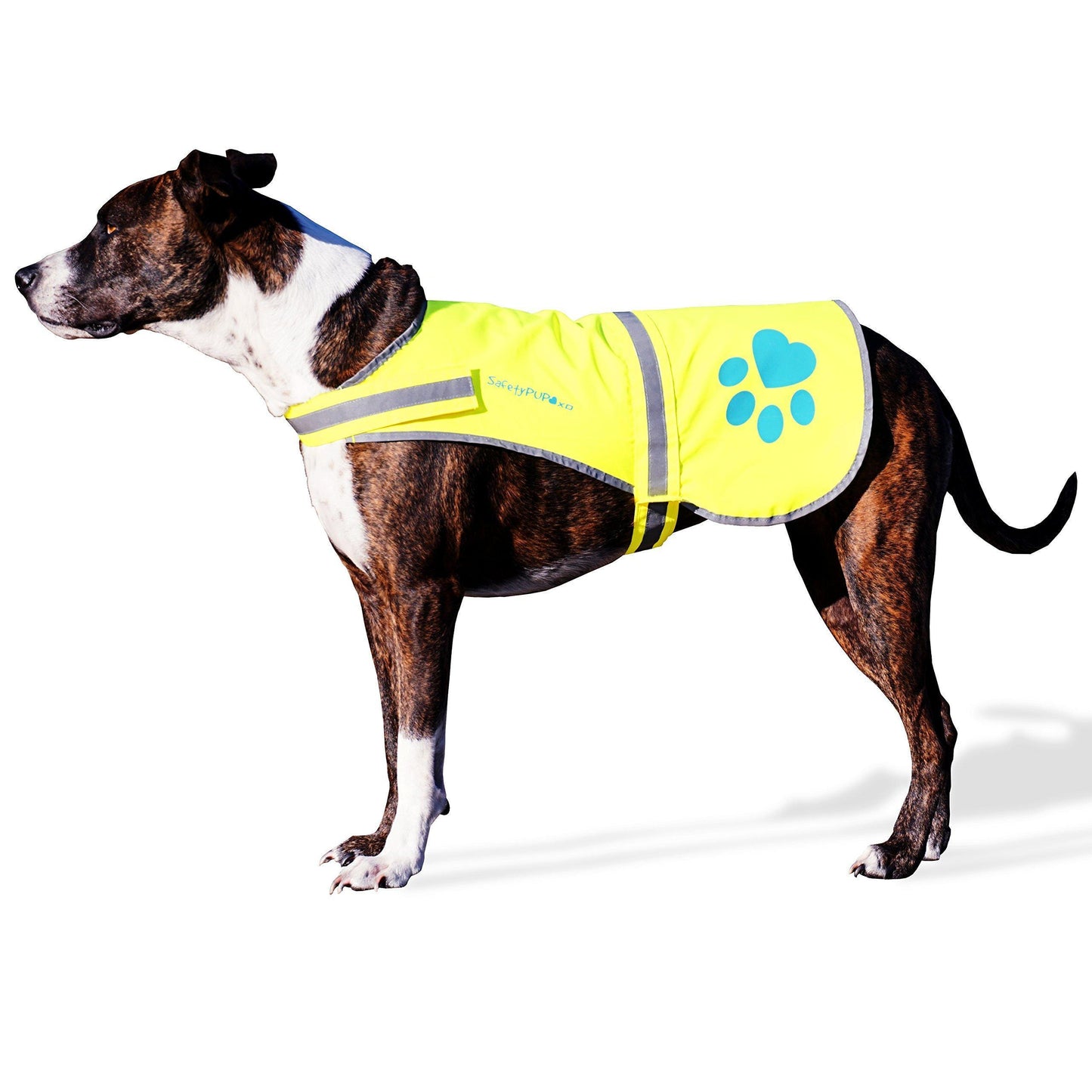 SafetyPUP XD Dog Reflective Vest Hi Vis Safety Vest Neon Yellow XLarge Fits Dogs 100 lbs 130 lbs For Pet With Love
