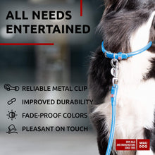Load image into Gallery viewer, WAUDOG Rolled Leather GLAMOUR Dog Leash 4Ft * 0.4in for Small Medium and Large Dogs (Blue) For Pet With Love