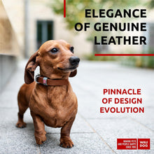 Load image into Gallery viewer, WAUDOG Long Lasting Leather Dog Collar for Large Dogs Medium & Small Dogs Adjustable Classic Puppy Collars for Large Breed Dogs Boy & Girl Dog Collars with Durable Buckle D Ring & QR Dog Tag For Pet With Love