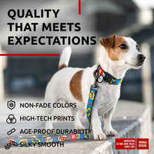 Load image into Gallery viewer, Nylon Dog Leash for Small Dogs and Medium Dogs 4 Ft Strong Dog Leash for For Pet With Love