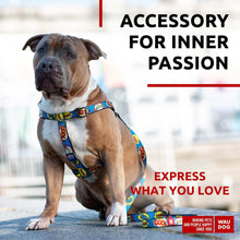 Load image into Gallery viewer, Nylon Dog Leash for Small Dogs and Medium Dogs 4 Ft Strong Dog Leash for For Pet With Love