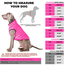 Load image into Gallery viewer, AiryVest Lightweight Reversible Winter Dog Jacket - XSMALL - Pink/Purple For Pet With Love