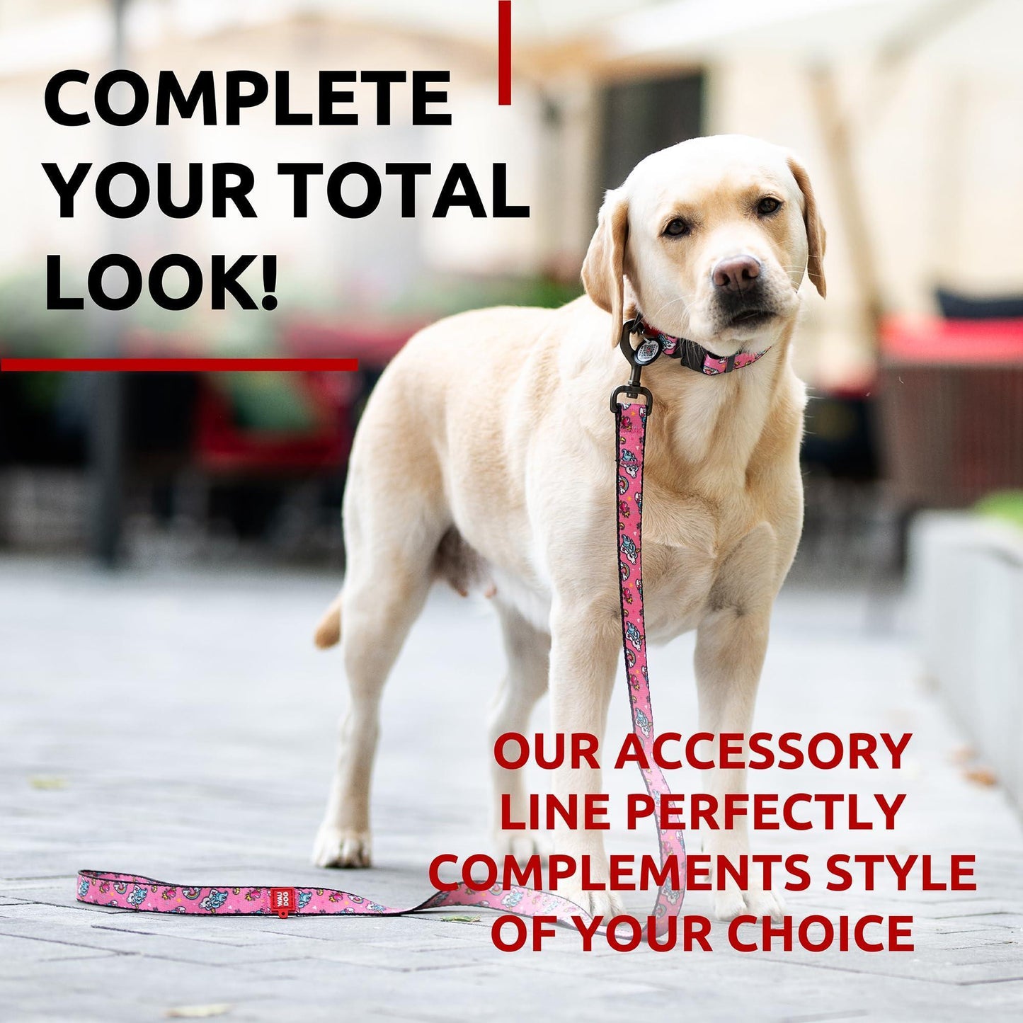 Nylon Dog Leash for Small Dogs and Medium Dogs 4 Ft Strong Dog Leash for For Pet With Love