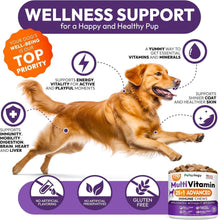 Load image into Gallery viewer, PETSOLOGY Multivitamin Chews for Dogs with Glucosamine, Omega 3 & Probiotics. (2 Pack) 340 Chews For Pet With Love