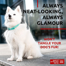 Load image into Gallery viewer, WAUDOG Ultra Soft Rolled Leather Soft Padded Dog Collar. MINT. X-Small