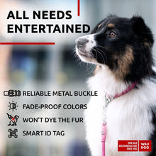 Load image into Gallery viewer, WAUDOG Ultra Soft Rolled Leather Dog Collar for Small Dogs Soft Padded Dog