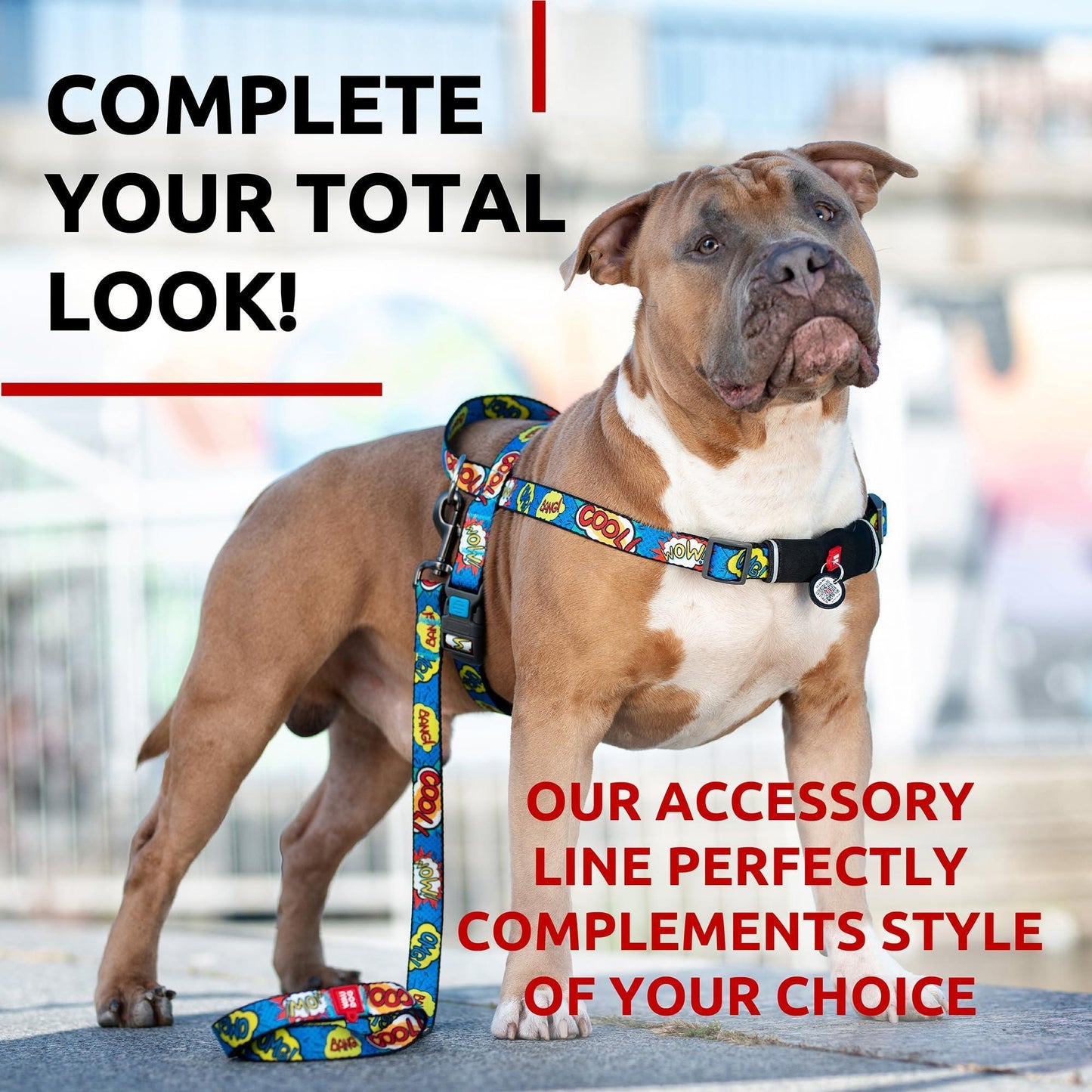 Nylon Dog Leash for Small Dogs and Medium Dogs 4 Ft Strong Dog Leash for For Pet With Love