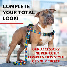 Load image into Gallery viewer, Nylon Dog Leash for Small Dogs and Medium Dogs 4 Ft Strong Dog Leash for For Pet With Love