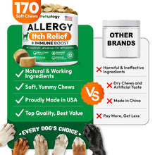 Load image into Gallery viewer, PETSOLOGY Dog Allergy Itching Relief Chews with Omega 3 Fish Oil Probiotics 170 Chews For Pet With Love