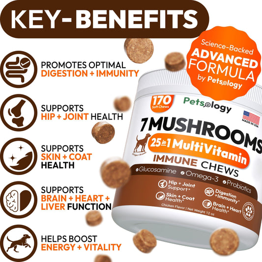 PETSOLOGY Mushroom Multivitamin Supplement for Dogs with Glucosamine, Omega 3 and Probiotics. 170 Chews For Pet With Love