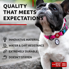 Load image into Gallery viewer, WAUDOG Adjustable Waterproof Heavy Duty Dog Collar with Durable Plastic Buckle and QR Dog Tag. MEDIUM (Pink) For Pet With Love