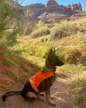 Load image into Gallery viewer, SafetyPUP XD Reflective HiVisibility Blaze Orange Fluorescent Dog Safety Vest (LARGE)