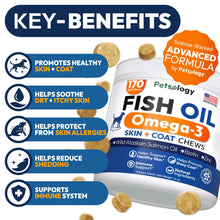 Load image into Gallery viewer, PETSOLOGY Omega 3 Fish Oil Skin & Coat Supplement for Dogs 170 Chews For Pet With Love