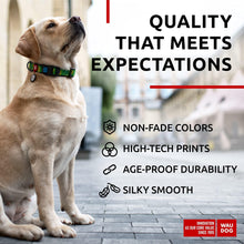 Load image into Gallery viewer, WAUDOG Nylon Adjustable Dog Collar with Durable Plastic Buckle and QR Dog Tag AVOCADO LARGE