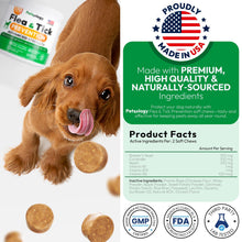 Load image into Gallery viewer, PETSOLOGY Natural Flea and Tick Prevention Treatment for Dogs Vet Formulated Oral Defense Supplement for All Breeds & Ages 170 Soft Chews Made in USA For Pet With Love
